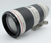 64A7438D-5E4C-4B03-8891-42C695FB9298_1_201_a