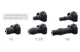 6940486700589_4.jpg