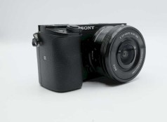 D7C1507E-E389-46C1-8CD9-48644C6EC0B3_1_201_a