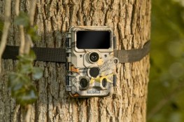 wildcameraez60wifi_3.jpg
