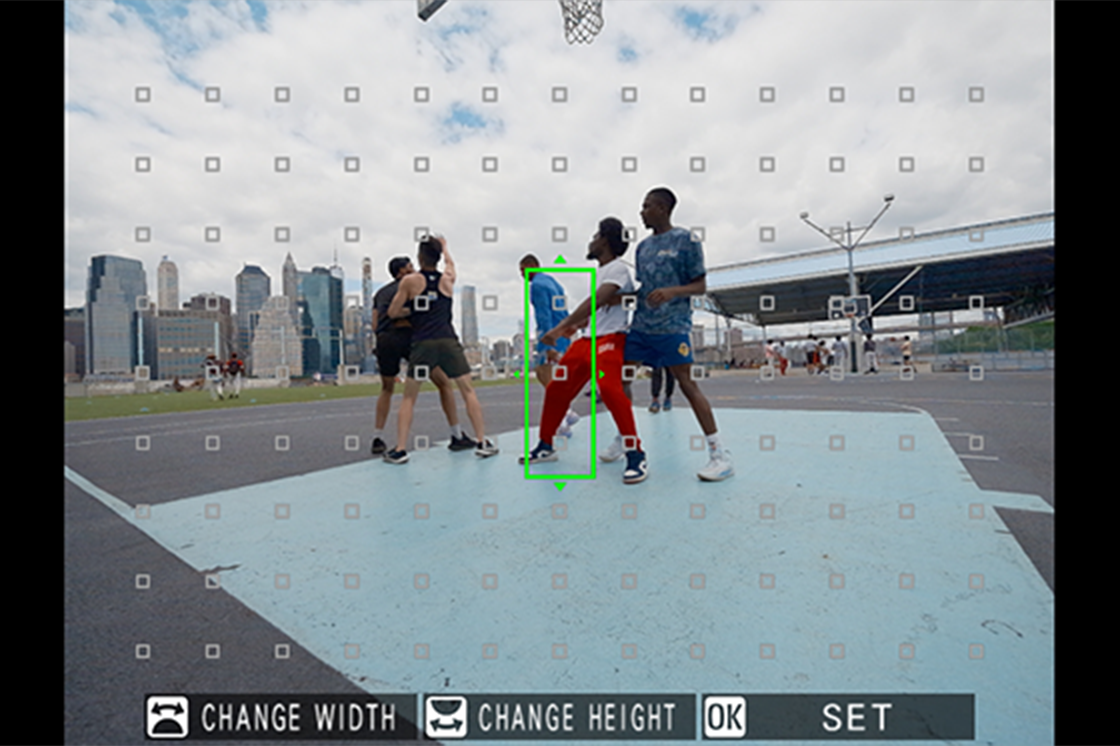 zone custom GFX100ii